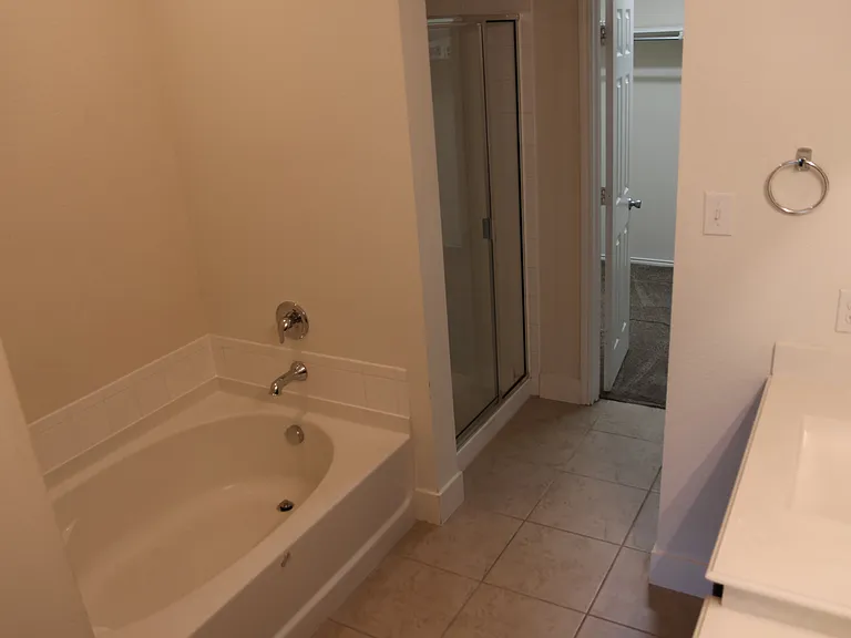 1700 Zebra Finch Dr — Photo 6