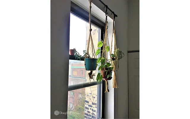 Rented by Douglas Elliman | media 12