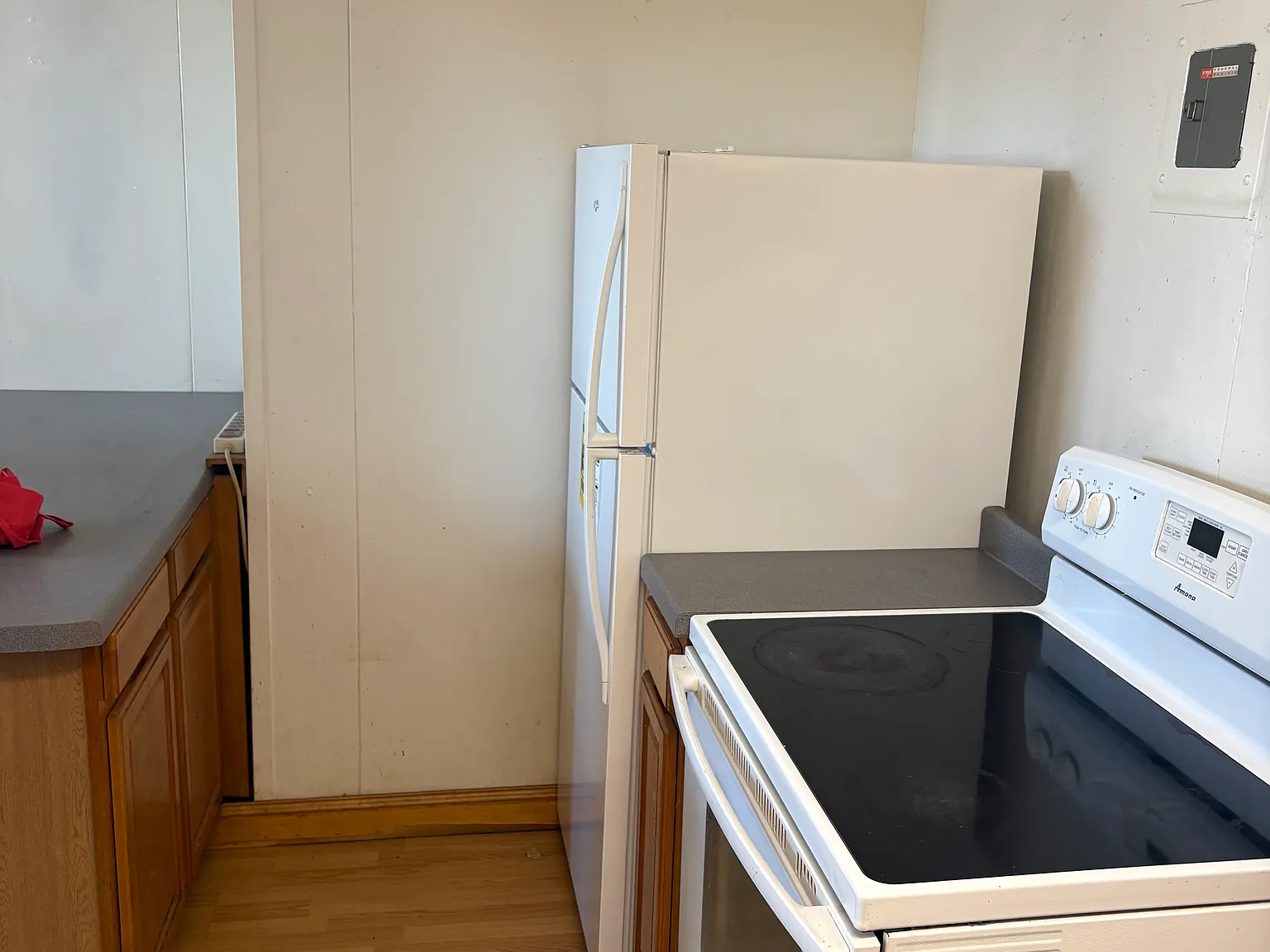 1 bed, $900 — Photo 3