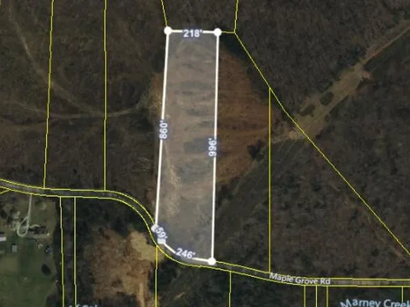 2750 Maple Grove Rd, Ten Mile, TN 37880