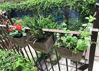 Rented by Jack B Shapiro