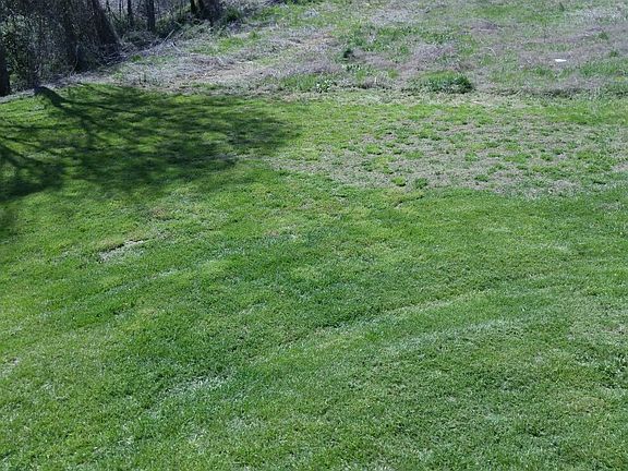 Plenty of garden and lawn space