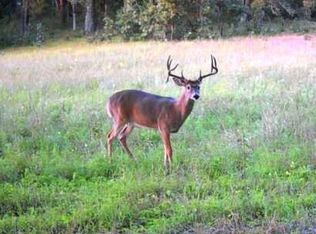 Cottonville Ct, Coloma, WI 54930