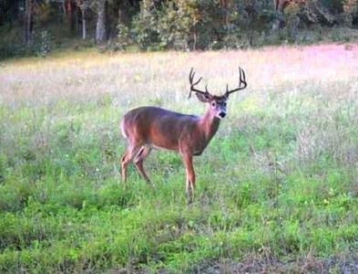 Cottonville Ct, Coloma, WI, 54930