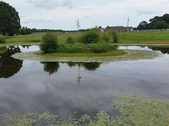 Catfish pond & has own pump.