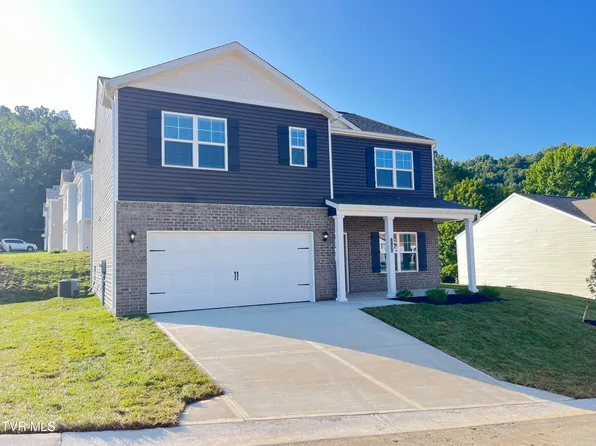 1104 Twelve Oaks Ct, Blountville, TN 37617