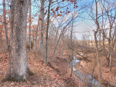 M/l Pike #451, Curryville, MO, 63339