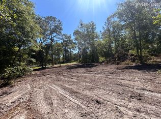 579 Palmetto Bluff Rd, Palatka, FL 32177