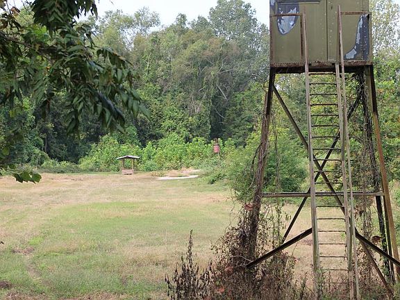 Stand on Food Plot with Two Feeders