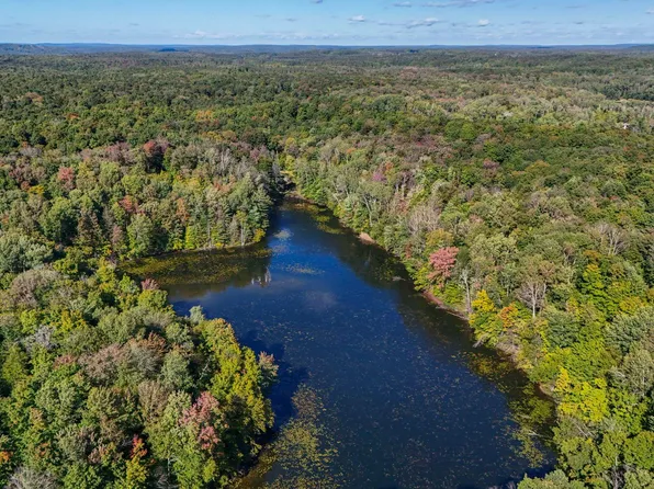 0 Eagle Ridge Trl, Mancelona, MI 49659