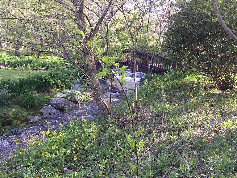 Mariposa Ln — Photo 9