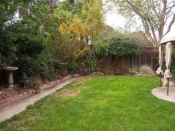 Backyard, view to the north
