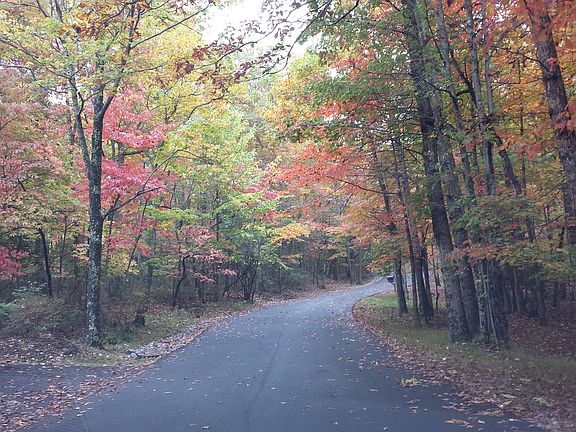 Laurel Drive in the Fall