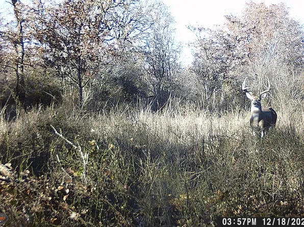 County Road 287, Rising Star, TX 76471