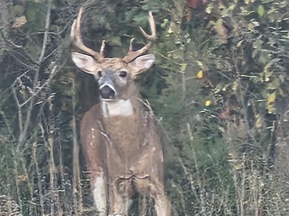 5855 M 89, Richland, MI 49083
