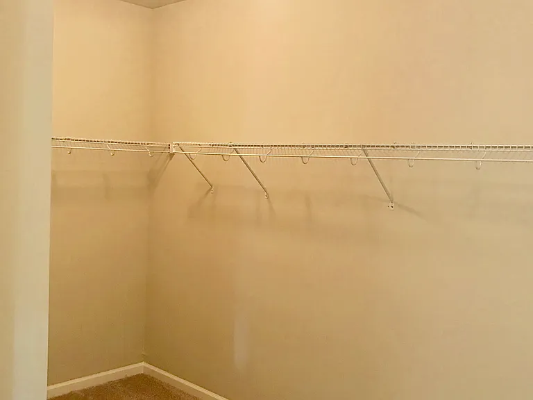 2341 Ivy Birch Ln — Photo 18