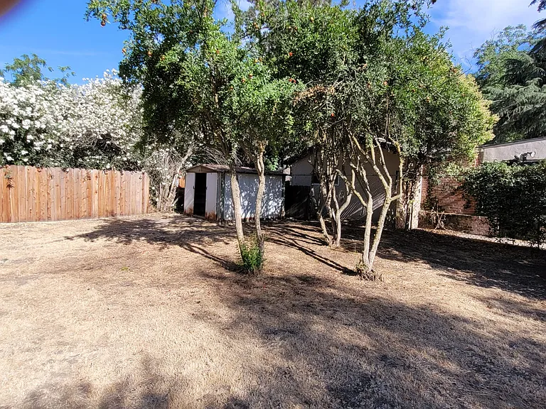 Backyard - Metal storage shed and trees.