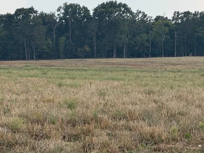 Tract 3 Lawrence 2180, Aurora, MO, 65605