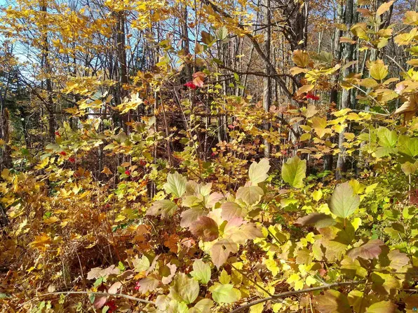 Xxx Sweeny Ave, Bayfield, WI 54814