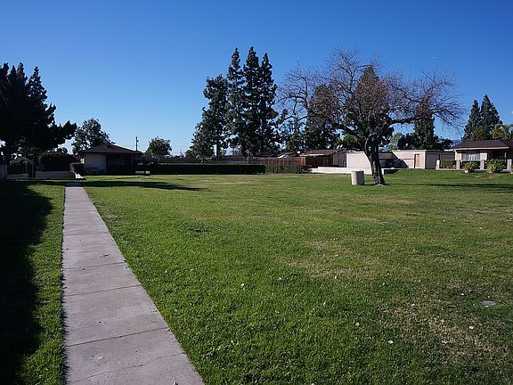 The park 