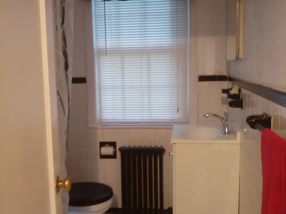 Bathroom - shower is on left
