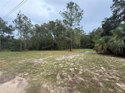Lewis Ct, Leesburg, FL, 34748
