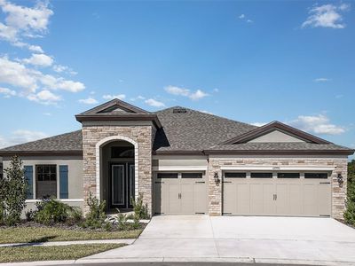 12990 Steed Trace Loop, Lithia, FL, 33547