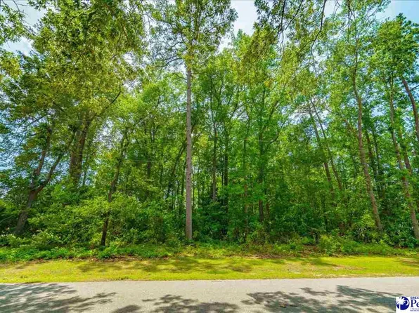 Sweet Maple Ave, Hartsville, SC 29550