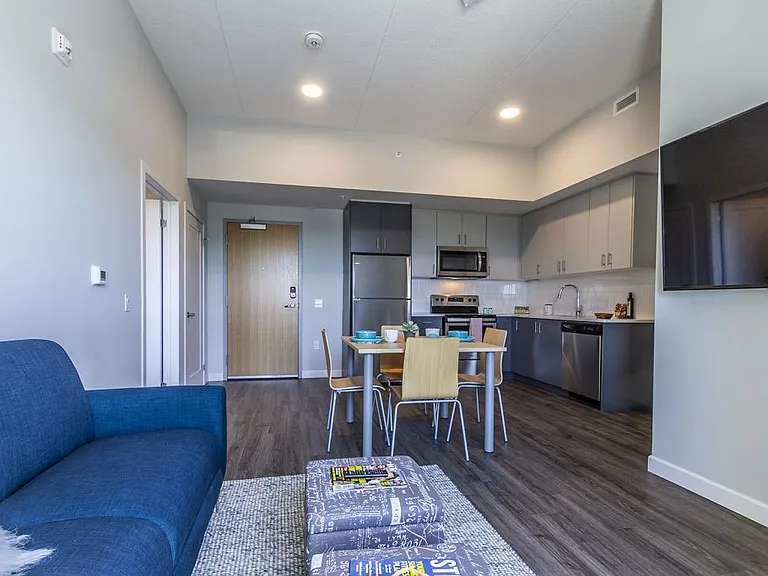 Living & Kitchen view