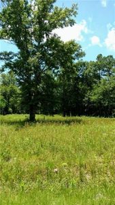 26126 Cloverland Dr, Lacombe, LA, 70445