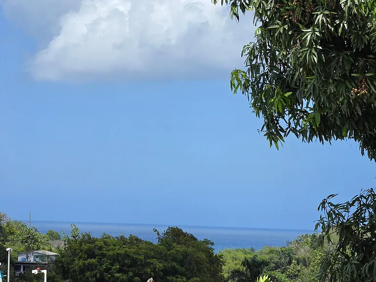 19 Bo Rio Gdn #115 — Photo 16