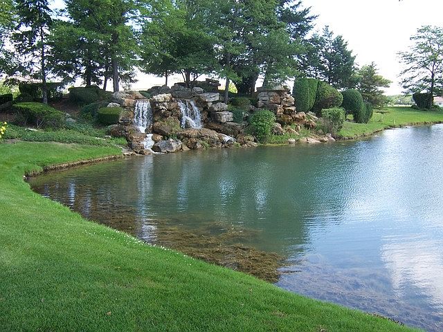 Neighborhood View