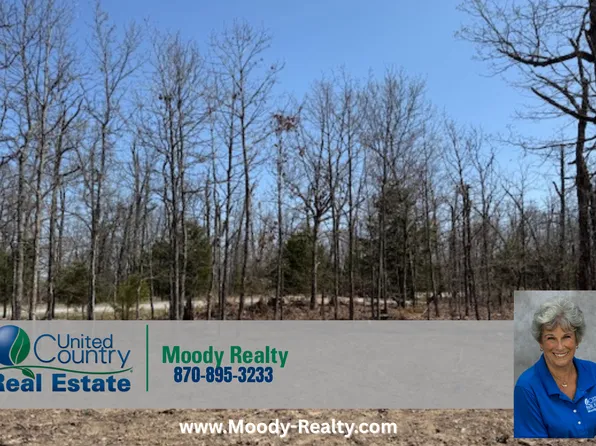 303 Mother Lode Dr, Horseshoe Bend, AR 72512