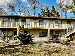 1601 Big Tree Rd APT 1204, South Daytona, FL 32119