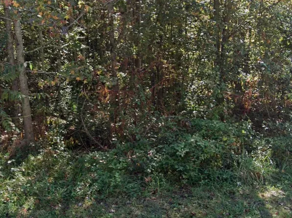 19 Daughtry Ct, Travelers Rest, SC 29690