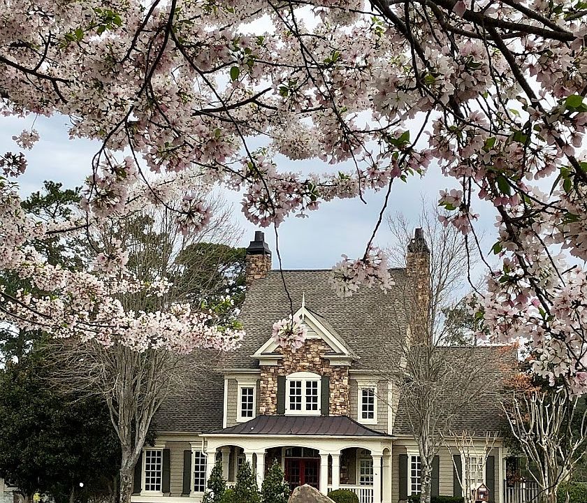 Club house during Cherry blossam