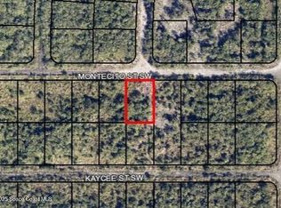 1440 Montecito St SW, Palm Bay, FL 32908