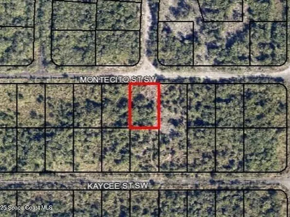 1440 Montecito St SW, Palm Bay, FL 32908