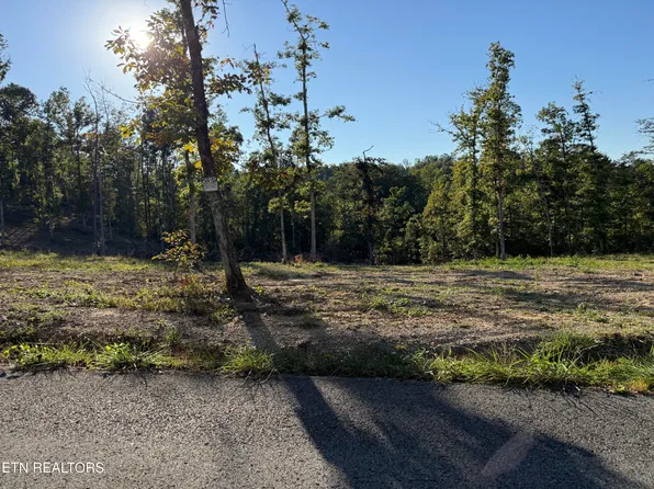1274 Vine Ridge Rd, Wilder, TN 38589
