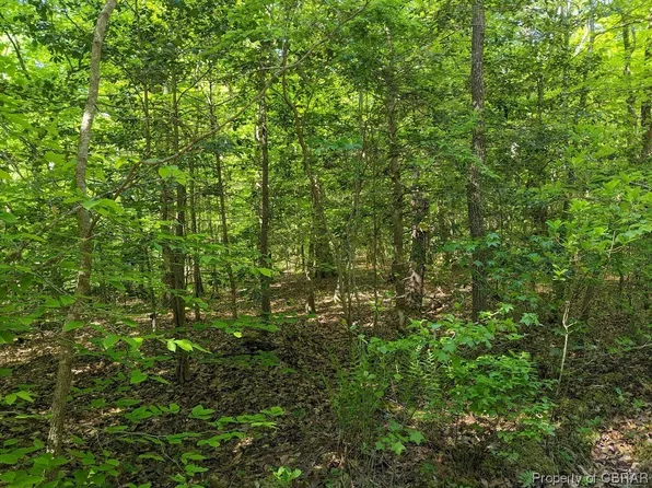 0 Store House Rd #123, Foster, VA 23056