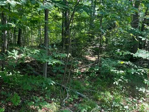 N Sherman Rd, Frederic, MI 49733