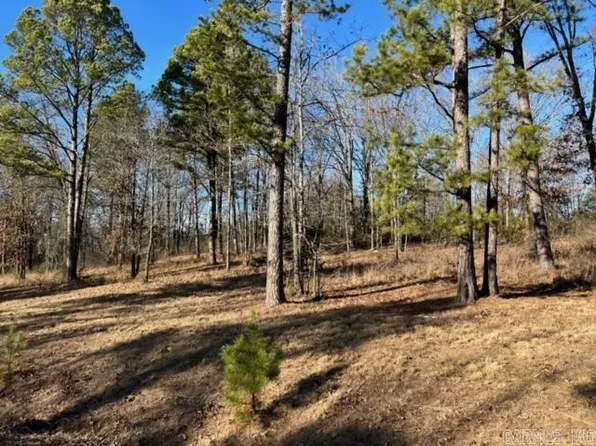 (undisclosed Address), Heber Springs, AR 72543