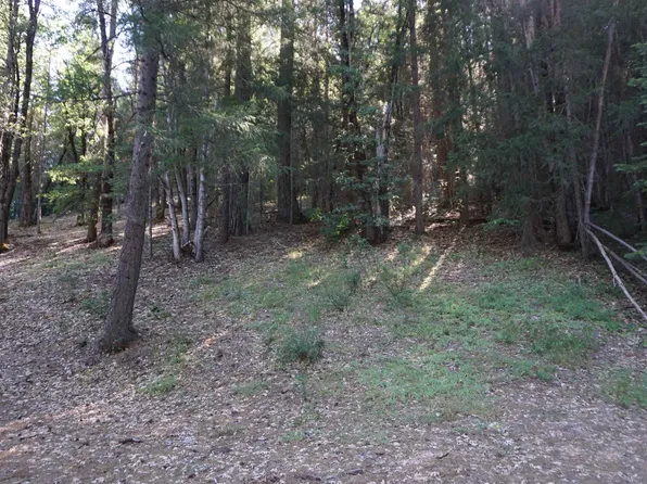 312 Nugget Ln, Quincy, CA 95971