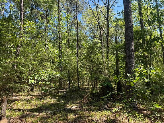 5th image of Hamp Jones Rd