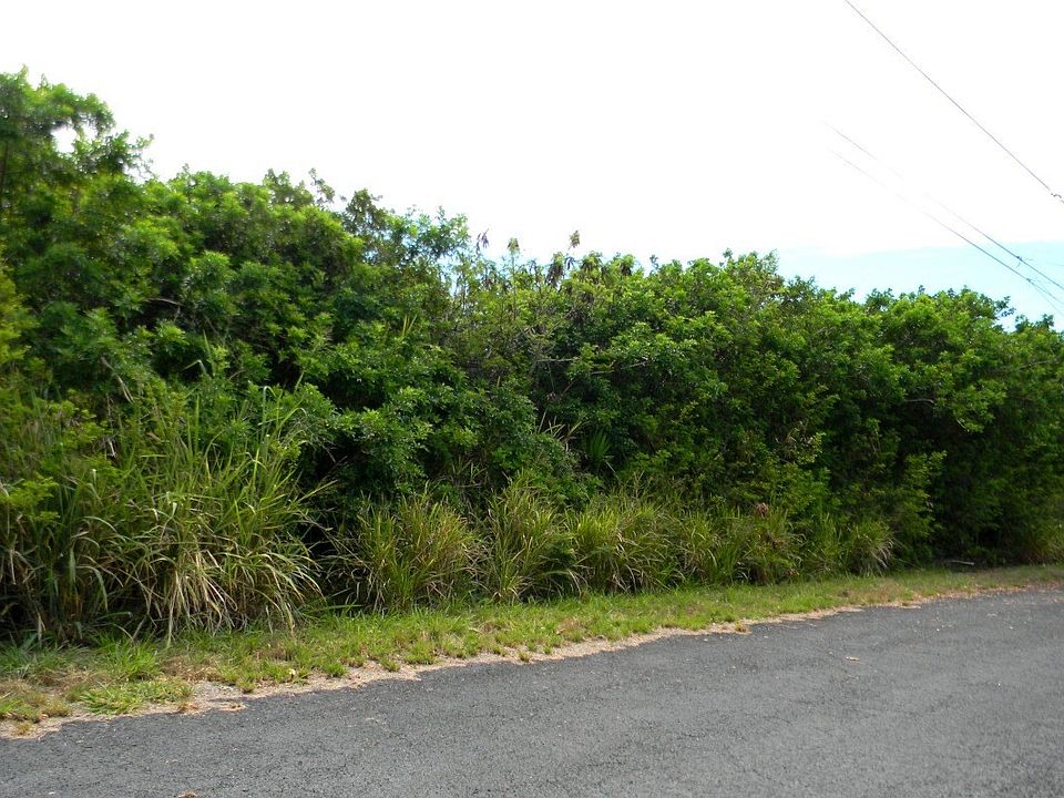 2nd image of Kia Kahi St Lot 759