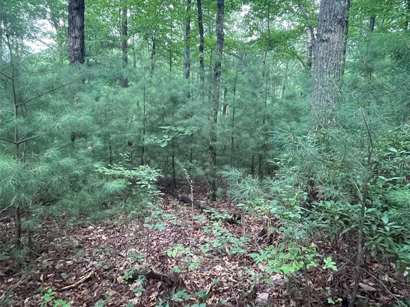 0 Mulberry Dr, Zirconia, NC 28790