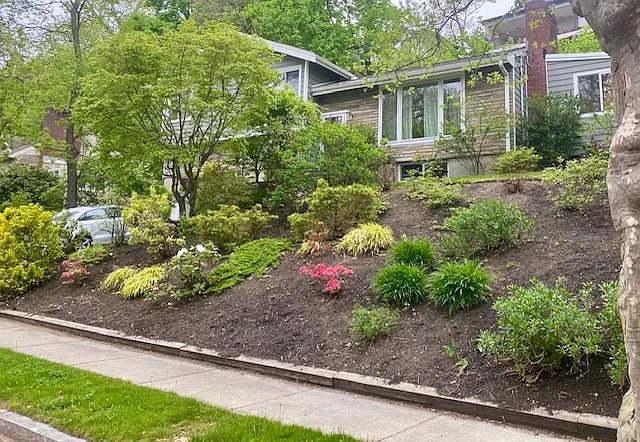 109 Wallis Rd — Photo 5