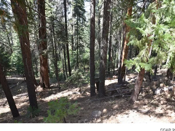 1773 Evergreen Ln, Arnold, CA 95223