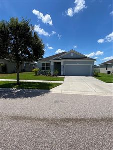 14310 Alistar Manor Dr, Wimauma, FL, 33598