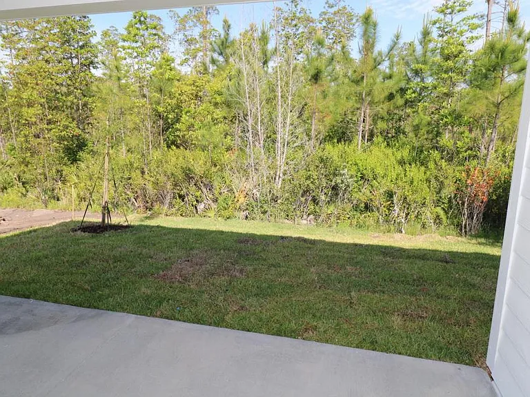 12089 Williamstown Dr — Photo 26